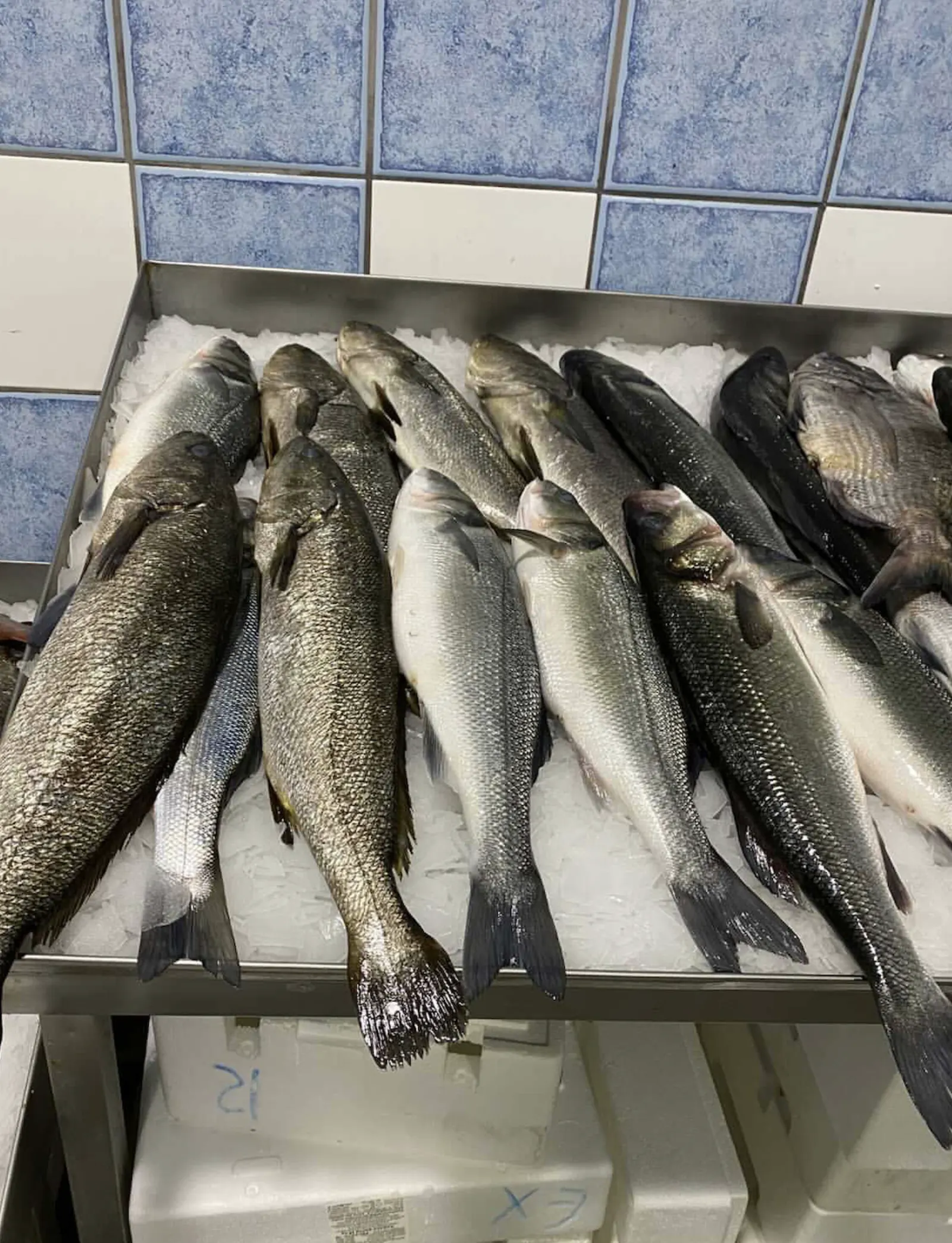 Εποχιακή ποικιλία ψαριών