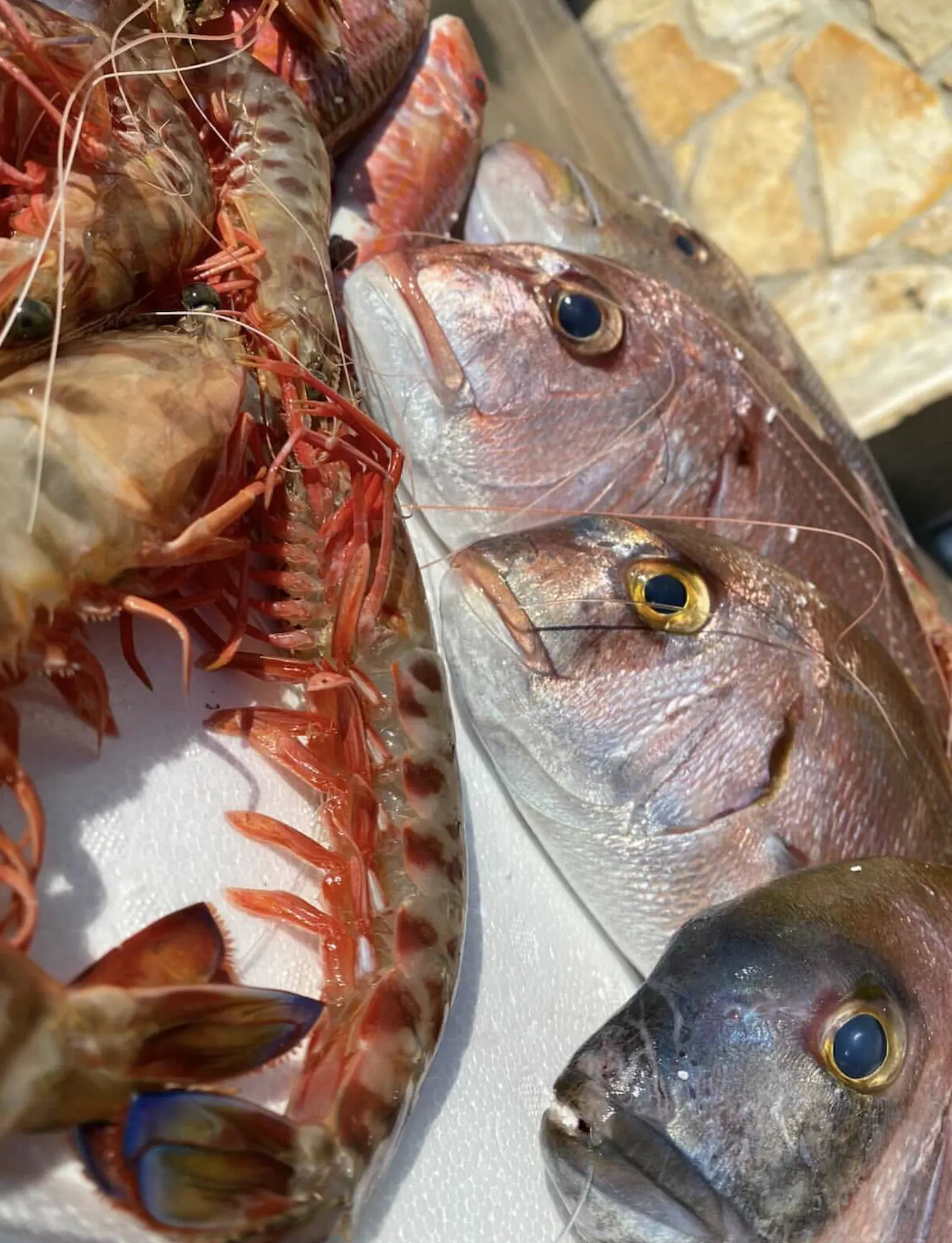 Θαλασσινά στον πάγκο